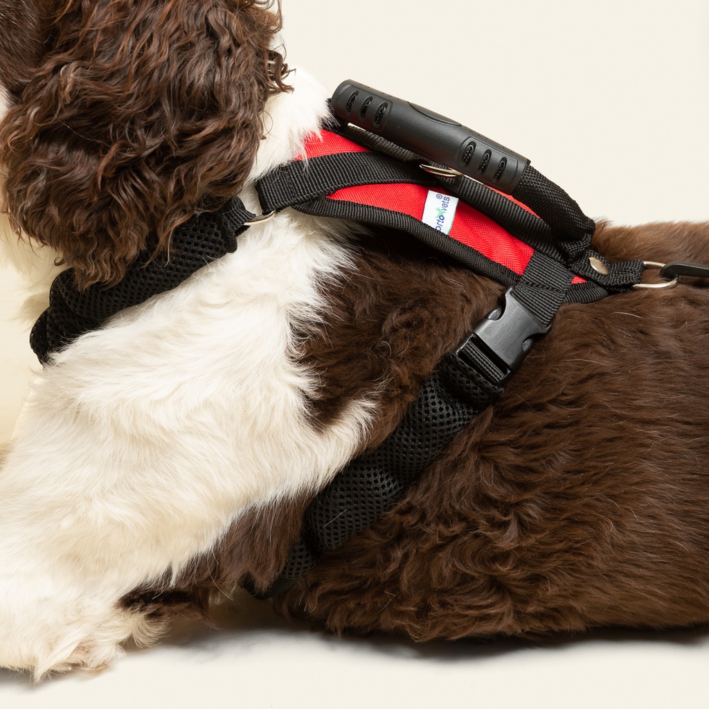 Arnes de ayuda completo talla #1