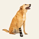 Ferulas moldeables talla #5