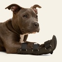 Ferulas rigida Delantera talla #3