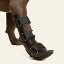 Ferulas rigida Delantera talla #4