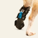 Ferulas rigida Trasera talla #3