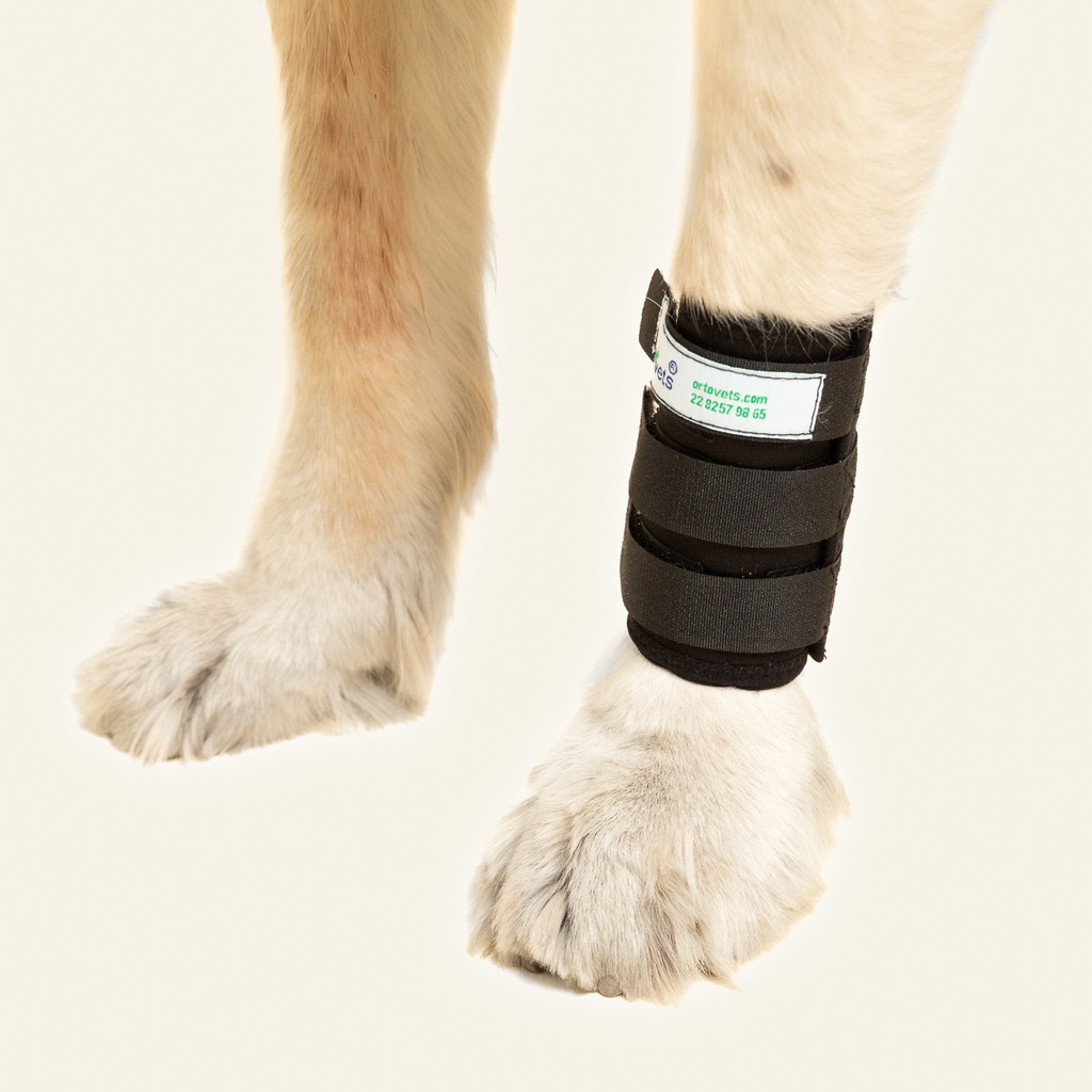 Muñequera talla #2 (protector articular para carpo)