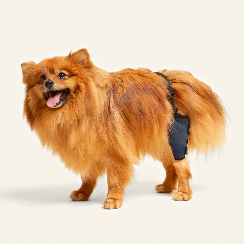 Rodillera derecha talla #3