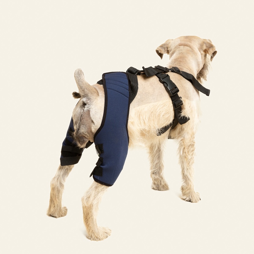 Rodillera dobles talla #1