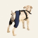 Rodillera dobles talla #5