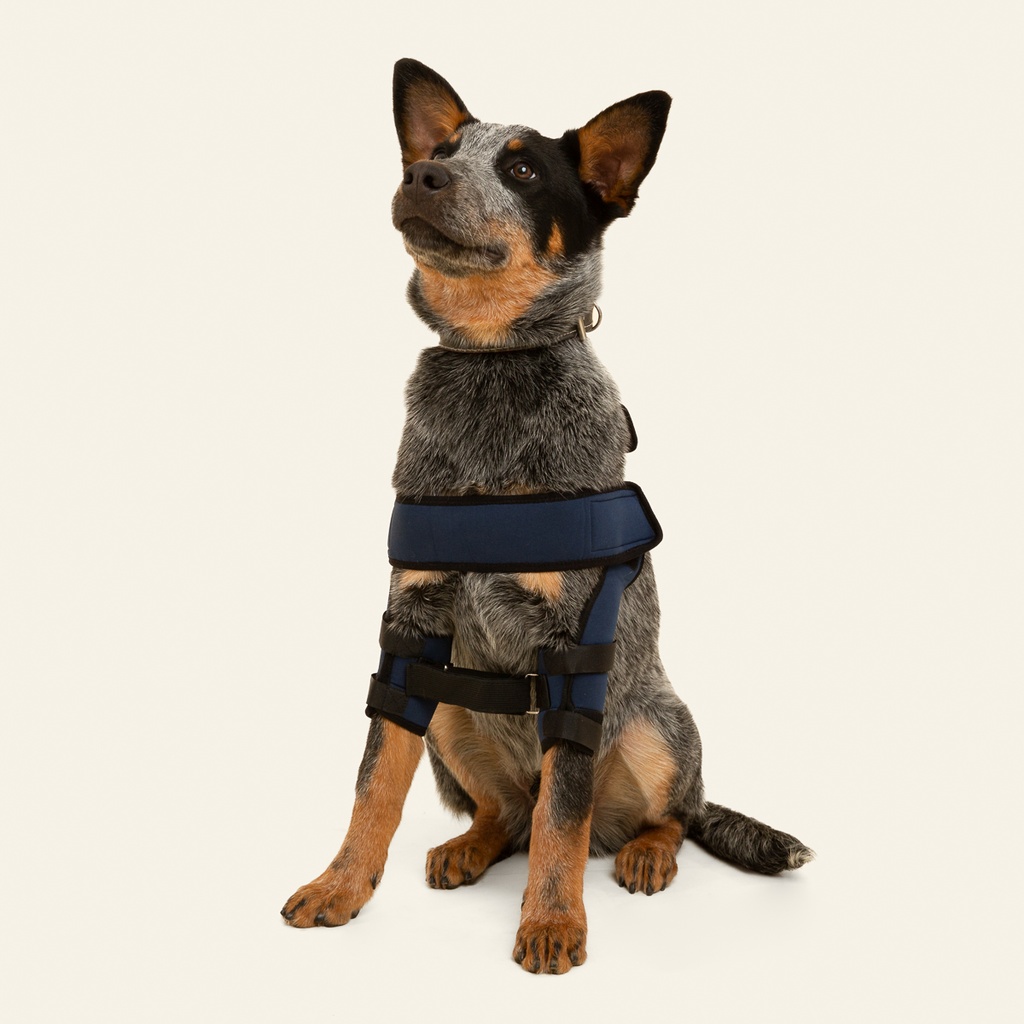 Soporte de hombro talla #6