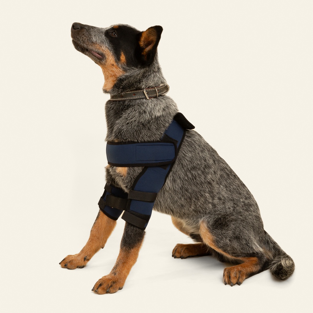 Soporte de hombro talla #7