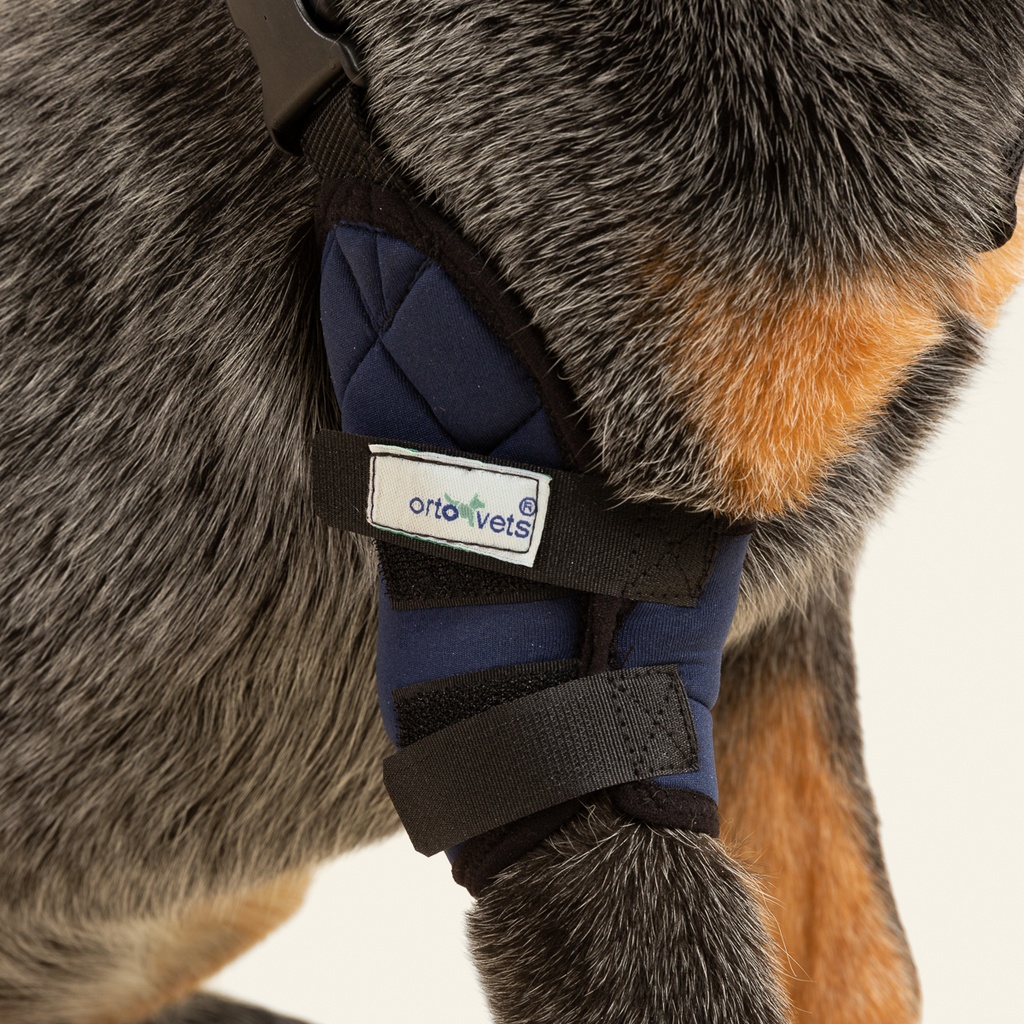 Codera derecha talla #8 (protector articular para codo)