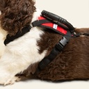 Arnes de ayuda completo talla #5