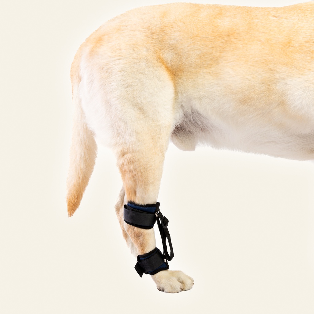 Corrector de hiperextension de tarso talla #1