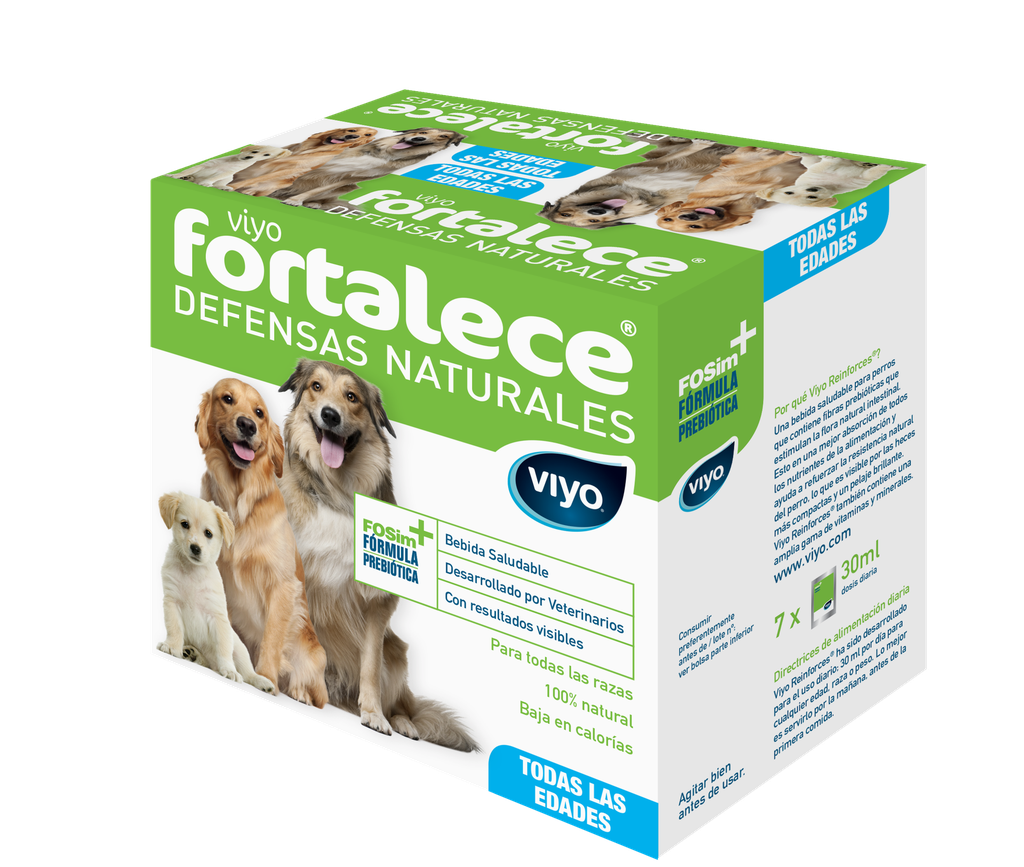 VIYO Fortalece Perro