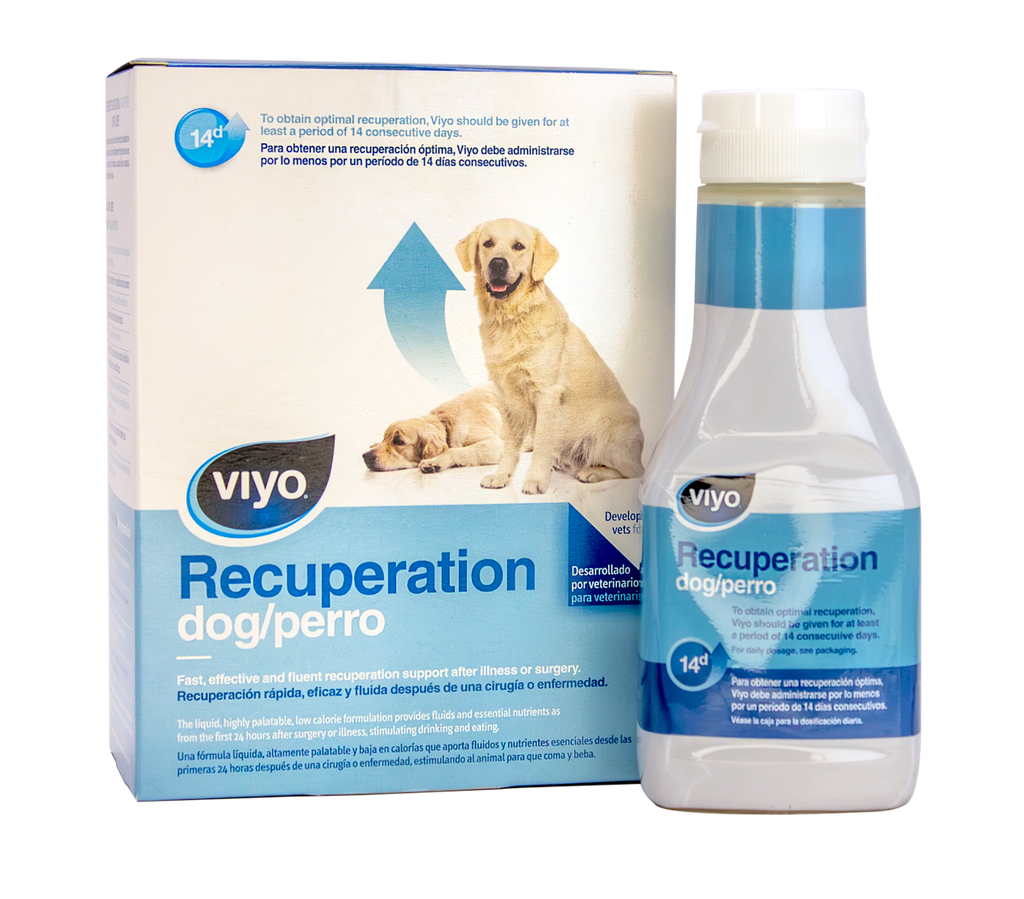 VIYO Recuperacion Perro