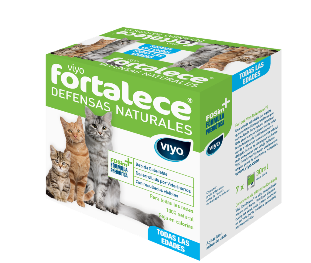 VIYO Fortalece Gato