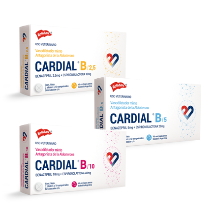 Cardial B 2.5, 20 Comprimidos