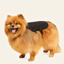 Chaleco de soporte toracolumbar talla 4