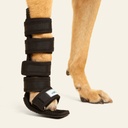 Ferulas moldeables talla #2