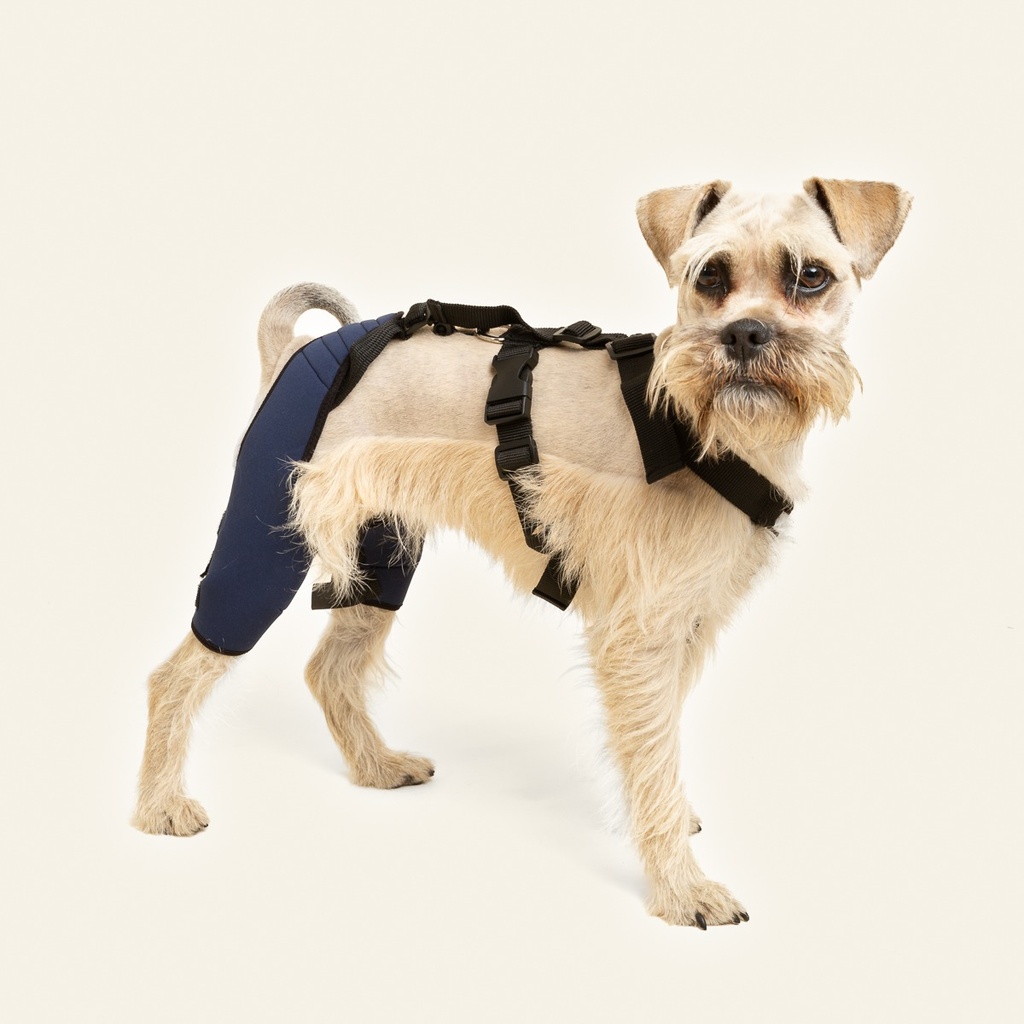 Rodillera dobles talla #4