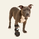 Ferulas rigida Delantera talla #2