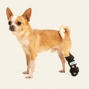 Ferulas rigida Trasera talla #5