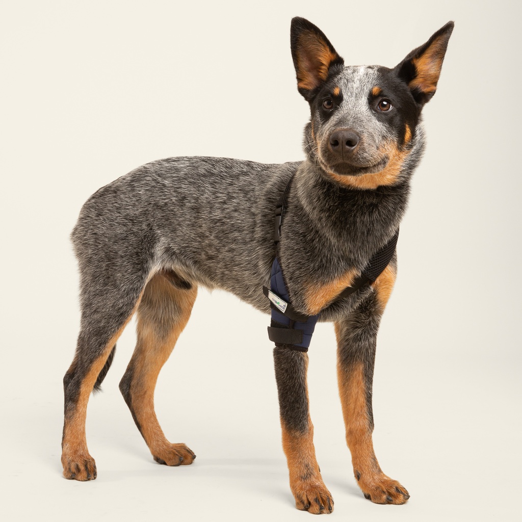 Codera izquierda talla #5 (protector articular para codo)