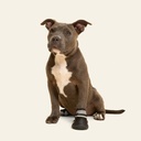 Bota para deficit propioceptivo talla #1