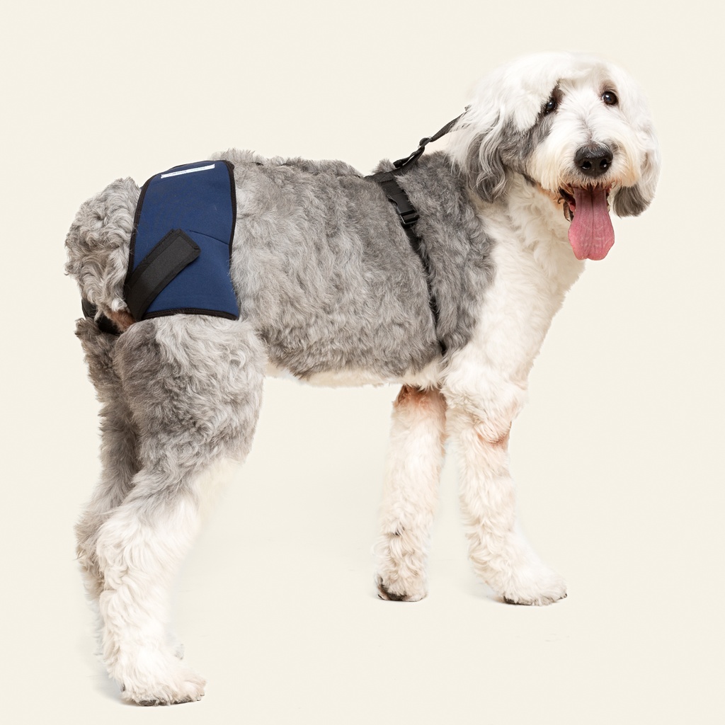 Soporte de cadera talla #7