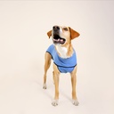 Trajes post quirurgicos talla 2