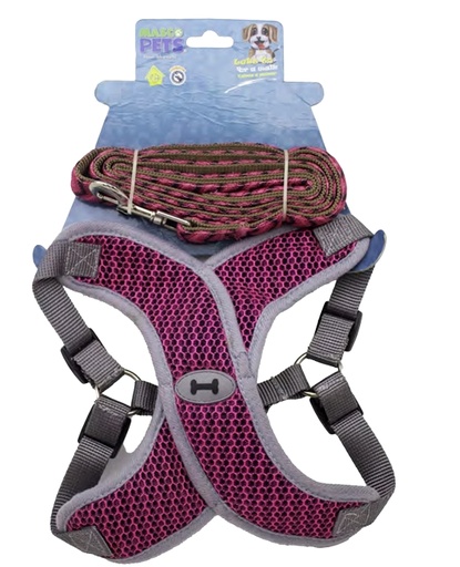 [841196-101900] Arnes y Correa Rosado/Verde Medium