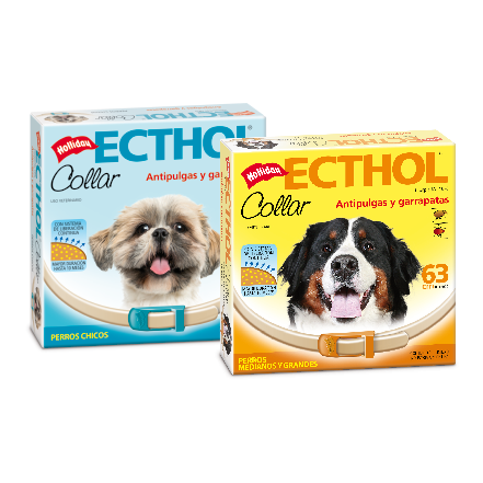 [7-798042-365951] Ecthol Collar (Perros Grandes) 1 ud.*63 cm.