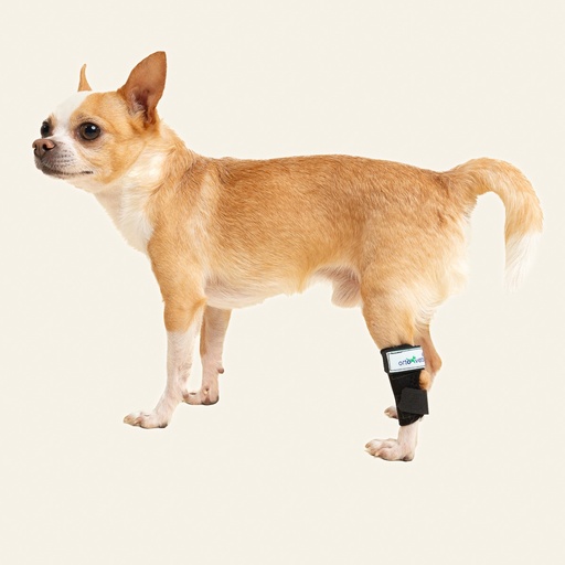 [ortov126] Tobillera talla #5 (protector articular para tarso)