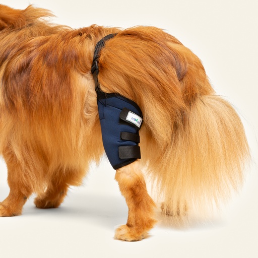 [ortov081] Rodillera derecha talla #8