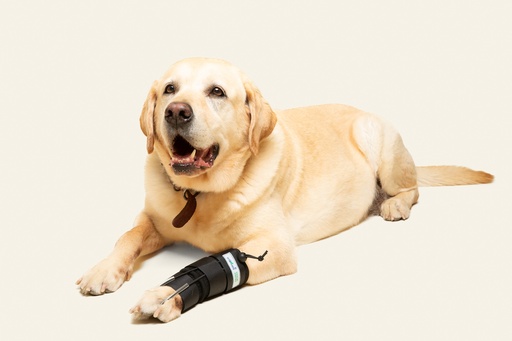 [ortov115] Tensor de dedos delantero talla #2