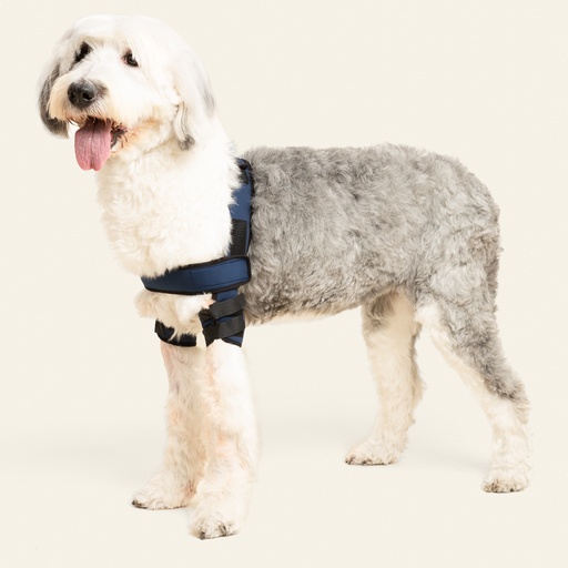 [ortov024] Codera doble talla #4