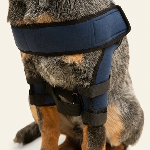 [ortov105] Soporte de hombro talla #1