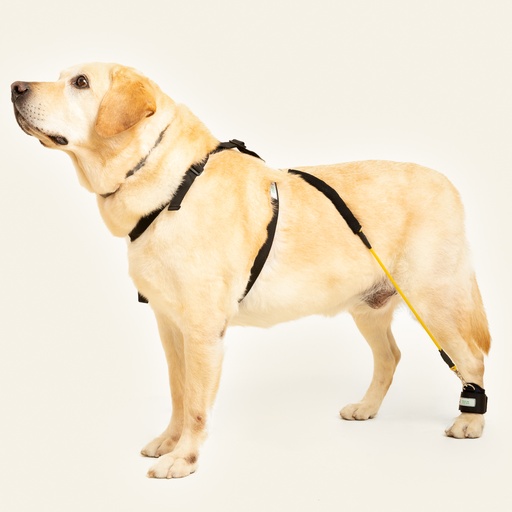 [ortov048] Corrector-facilitador de marcha para miembro posterior talla #4