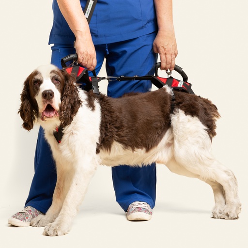 [ortov001] Arnes de ayuda completo talla #1