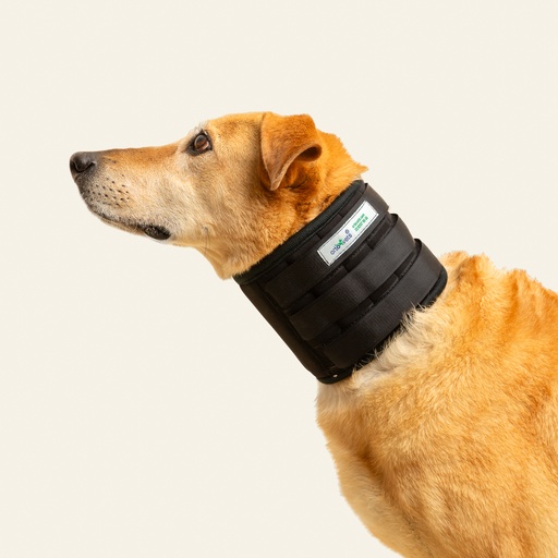 [ortov036] Collarin inmovilizador talla #1