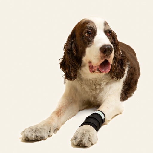 [ortov073] Muñequera talla #6